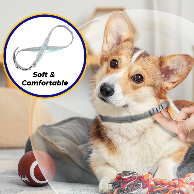 BarxBuddy Flea & Tick Collar