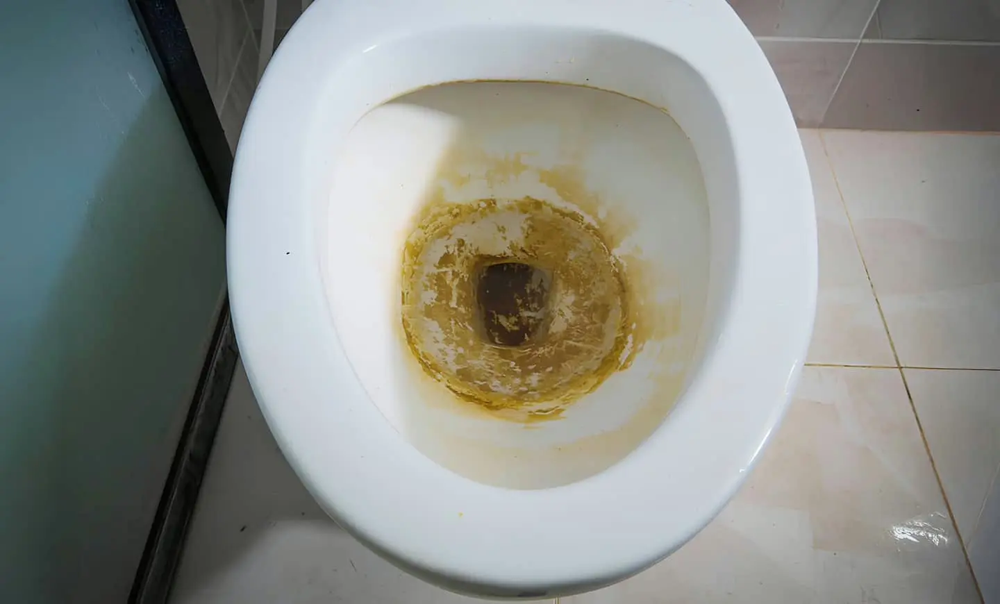 Dirty toilet before cleaning