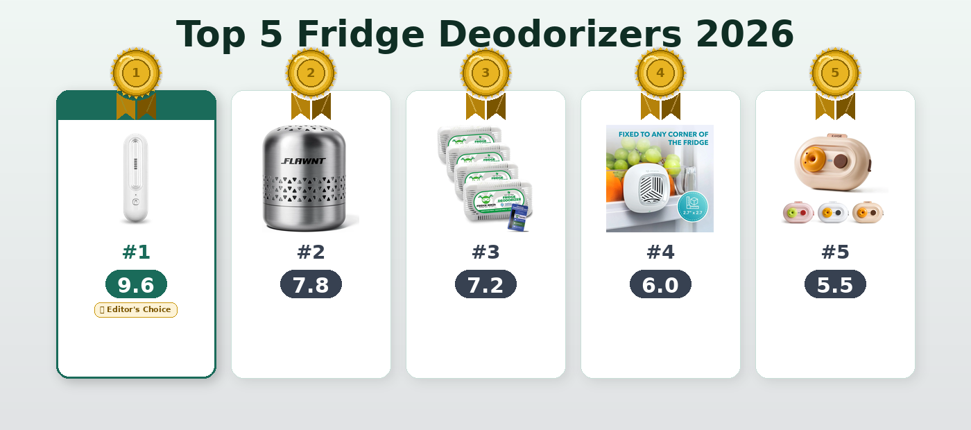 Top 5 Best Fridge Deodorizers 2026 Ranked