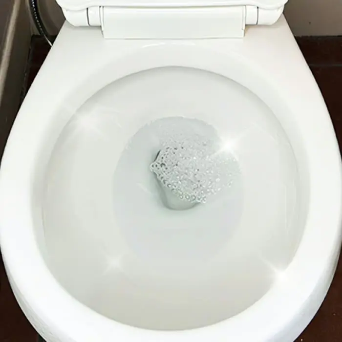 Clean sparkling toilet after FizzClean